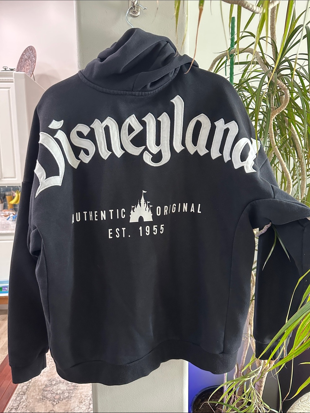 Disney Black Zip Up Hoodie with White Disneyland Script